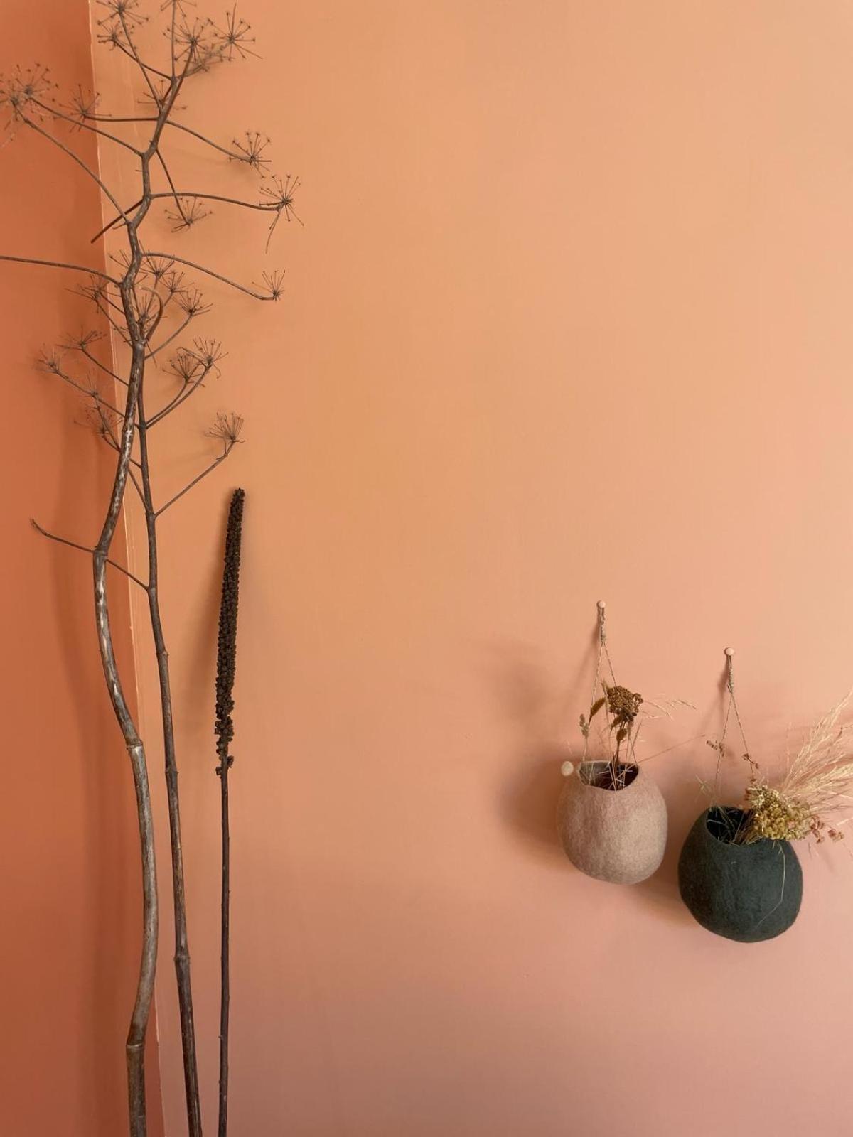 Les Petites Maisons Sotta Exterior foto